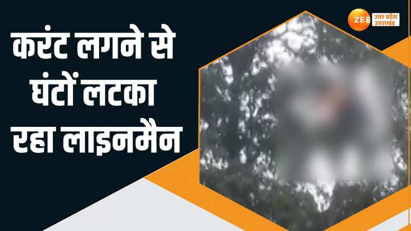 Bijnor News: फॉल्ट ठीक करते वक्त करंट लगने से झुलसा लाइनमैन, घंटों लटका रहा