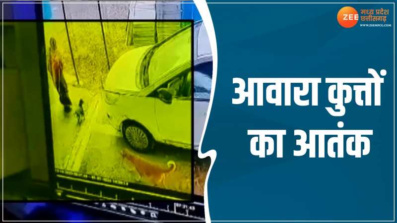 Video: टीकमगढ़ में आवारा कुत्तों का आतंक, बच्चे पर किया हमला