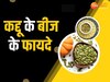 Health Tips: सर्दियों में रोजाना खाएं कद्दू के बीज, एक साथ मिलेंगे कई जबरदस्त फायदे 