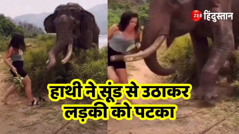 हाथी के सामने लड़की को स्टाइल मारना पड़ा भारी, सूंड से उठाकर वहीं पटका, देखिए वीडियो