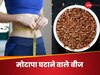 Weight Loss Seed: वजन कम करने में असरदार है ये खास बीज, आप हफ्तेभर में दिख सकते हैं स्लिम एंड ट्रिम