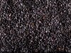 Black Sesame Benefits: सर्दियों में बेहद फायदेमंद होती है यह चीज, मिलते हैं 5 चमत्कारी फायदे