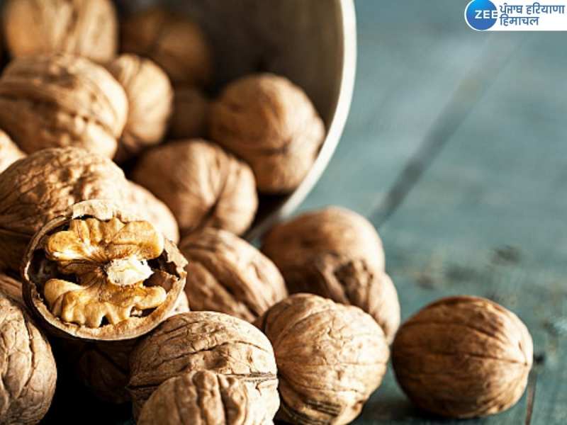 Walnuts Benefits:ਸਰਦੀਆਂ 'ਚ ਅਖਰੋਟ ਕਿਸ ਸਮੇਂ 'ਤੇ ਖਾਣਾ ਹੈ ਫਾਇਦੇਮੰਦ ? 