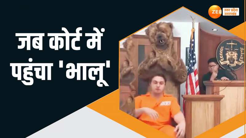 Viral Video: कोर्ट में चल रही थी सुनवाई, आरोपी को सजा दिलवाने पहुंच गया 'भालू'