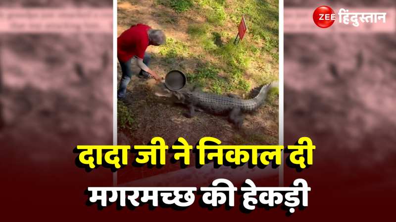 Crocodile Attack Video: खूंखार मगरमच्छ ने किया हमला तो दादा जी ने फ्राई पैन से कर 