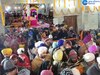 Maghi Mela Muktsar 2024: ਸ੍ਰੀ ਮੁਕਤਸਰ ਸਾਹਿਬ 'ਚ ਲੱਗੀਆਂ ਮਾਘੀ ਮੇਲੇ ਦੀਆਂ ਰੌਣਕਾਂ, ਸੰਗਤ ਗੁਰੂ ਘਰ 'ਚ ਹੋ ਰਹੀ ਹੈ ਨਤਮਸਤਕ 