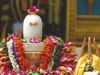 Shivling: शिवलिंग पर गलती से भी न चढ़ाएं ये 7 चीजें,  शिव जी होते हैं नाराज