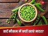 Peas Benefits: सर्द है मौसम, तो रोज खाएं मटर, फायदे इतने कि आप भी कहेंगे, 'वाह-वाह'