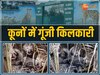 कूनो में गूंजी किलकारी 