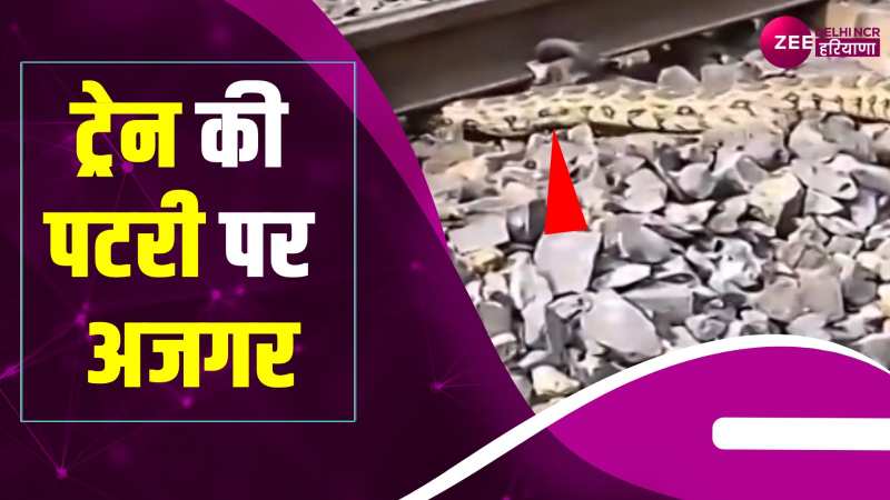 Snake viral video: रेलवे लाइन पर दिखा, हैरान कर देगा वीडियो