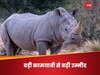 Rhino Population: असम हो या केन्या अब खूब नजर आएंगे गैंडे, कामयाब आईवीएफ का किया गया दावा
