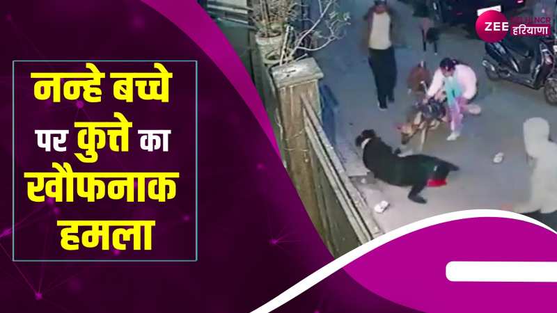 Dog Attack: मां की गोद में खेल रहे बच्चे पर कुत्ते ने किया हमला, Cctv वीडियो 