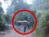 Himachal: बिलासपुर के नैनादेवी में कच्ची सड़क से लोग परेशान, विधायक रणधीर शर्मा ने कही ये बात