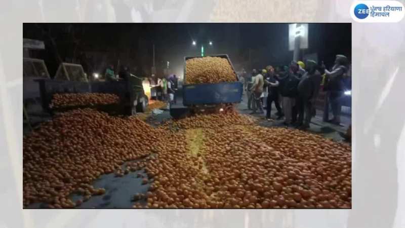 Farmers Protest News: ਵਾਜਿਬ ਭਾਅ ਨਾ ਮਿਲਣ ਉਤੇ ਕਿਸਾਨਾਂ ਨੇ ਡੀਸੀ ਦਫਤਰ ਅੱਗੇ ਸੁੱਟੇ ਕਿੰਨੂ