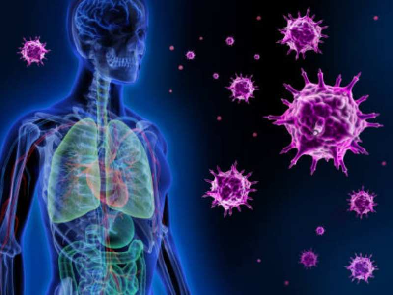 क्या है इन्फ्लूएंजा वायरस? जिसने बढ़ाई अमेरिका की टेंशन, हजारों लोगों की ले ली जान 