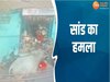 Video: ग्वालियर में सांड ने बुजुर्ग को उठाकर पटका,  CCTV में देखिए पूरी घटना