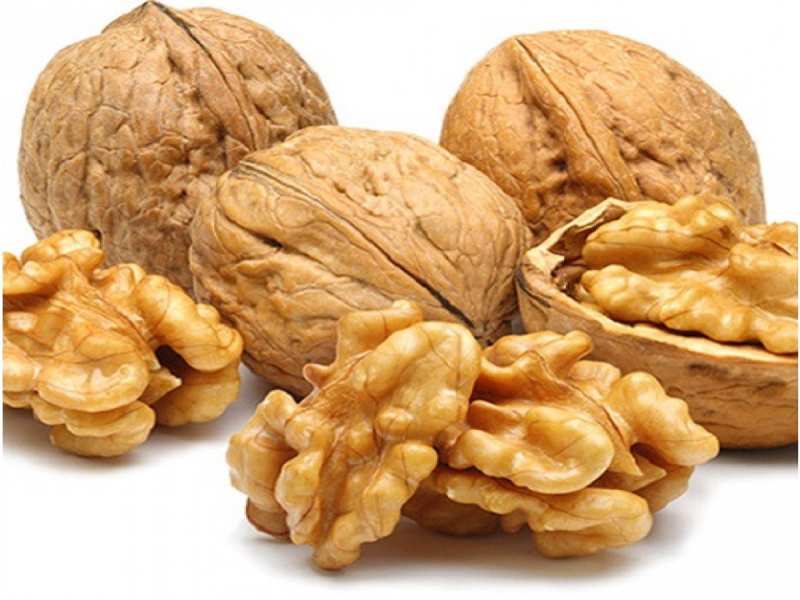 Walnut Benefits: हर रोज खाना शुरू कर दें 4 अखरोट; शरीर में दिखेंगे ये 10 बड़े बदलाव