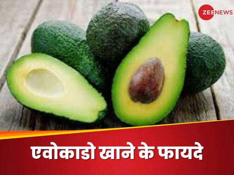 Avocado deals in hindi