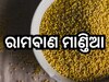 ସ୍ବାସ୍ଥ୍ୟ ସହ କେଶ ଓ ତ୍ବଚାର ସମସ୍ୟା ଦୂର କରିଥାଏ ମାଣ୍ତିଆ! ଏପରି କରନ୍ତୁ ବ୍ୟବହାର...