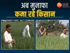 Mandla News: किसानों ने लीक से हटकर की खेती...अब अच्छा मुनाफा होने से बढ़ी आय!