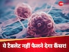 Cancer Treatment: कैंसर को जड़ से खत्म करने के लिए तैयार किया गया फूड सप्लीमेंट, खाने से बॉडी में नहीं बढ़ेंगे जानलेवा सेल्स