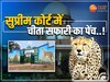 सुप्रीम कोर्ट में न फंसे Cheetah Safari सफारी का पेंच, कूनो के अधिकारी जाएंगे अदालत