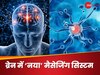 दिमाग के सेल्स कैसे एक दूसरे से करते हैं बात, साइंटिस्ट्स ने खोज निकाला कम्युनिकेशन का नया तरीका
