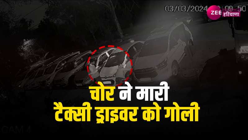 ZEE Delhi NCR Haryana News in Hindi Latest and Breaking News from