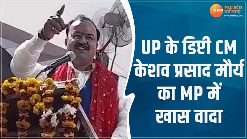 Zee chhattisgarh news hindi live top