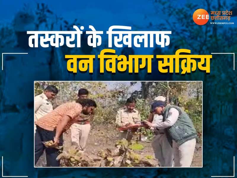 Zee news mpcg best sale live tv hindi