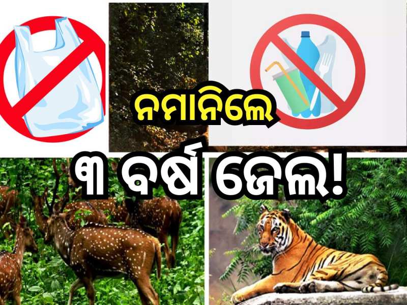 Plastic Ban: ଏପ୍ରିଲ ୧ରୁ ଅଭୟାରଣ୍ୟକୁ ପ୍ଲାଷ୍ଟିକ ମନା, ଉଲ୍ଲଂଘନ କଲେ.. 