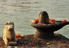 Mahashivratri 2024 Puja Vidhi: महाशिवरात्रि पर शिवलिंग की कैसे करें पूजा, भूलकर भी नहीं करें ये काम