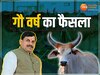 MP News: मध्य प्रदेश में होगा गौ वर्ष, गायों के लिए CM मोहन यादव ने लिए कई फैसले