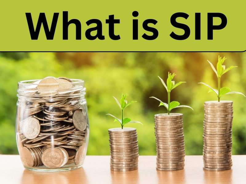 क्या है SIP?200 रुपये निवेश करके आप कमा सकते हैं लाखों! सभी सवालों के जवाब यहां