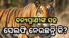 Odisha News: ଏଥର ମହଙ୍ଗା ପଡି଼ବ ବନ୍ୟପ୍ରାଣୀଙ୍କ ସହ ସେଲଫି ନେବା, ଜାଣନ୍ତୁ କାହିଁକି ?