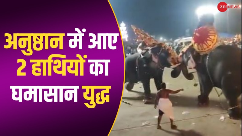 पूजा में लाए 2 हाथियों में छिड़े जबरदस्त युद्ध से भीड़ में मची भगदड़; खौफनाक वीडियो 