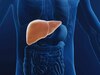 Fatty Liver: जानें किन लोगों के लिए है फैटी लिवर का खतरा ज्यादा ? इस समस्या से कैसे बचें?