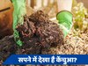 Dream Science: सपने में दिखाई दिए हैं रेंगते हुए केंचुए, जानें किस अनहोनी का दे रहे हैं संकेत?