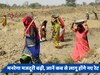 चुनाव से पहले 10% तक बढ़ गई मनरेगा मजदूरी, यूपी-बिहार समेत आपके राज्य में कितने रुपये मिलेंगे, जानें