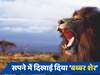 Swapan shastra: सपने में दिखाई दिया शिकार करता हुआ शेर, जानें किस अनहोनी का दे रहा संकेत? 