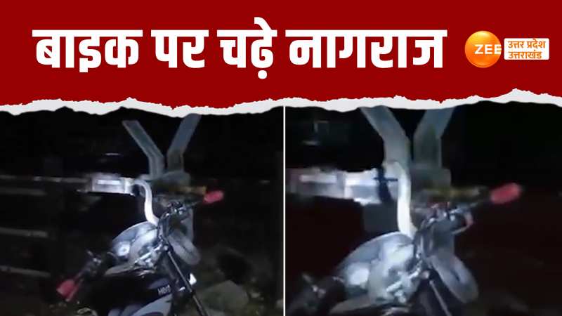 Video: रेलवे क्रॉसिंग बंद होते ही बाइक पर सवार हुए नागराज, डर से छूटे लोगों के पसीने