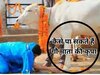 cow pujan benefits