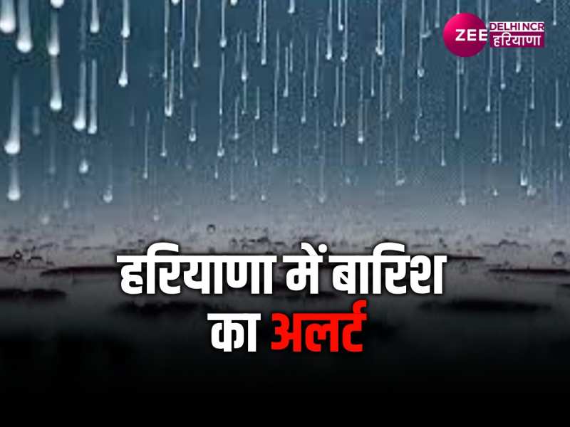 Haryana Weather: हरियाणा में मौसम विभाग का अलर्ट, मंडियों में खास व्यवस्था