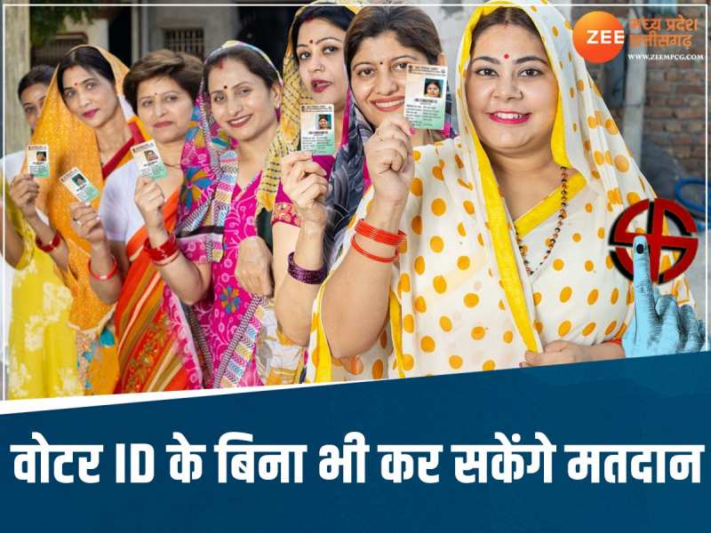 Lok Sabha Election 2024: MP के चुनाव अधिकारी ने बताया बिना वोटर ID वोट कैसे करेंग?
