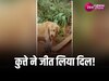 Animal Video: कुत्ते ने समझदारी से बचाई मासूम बिल्ली की जान, वीडियो देख आजाएगा प्यार