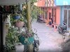 Amroha 