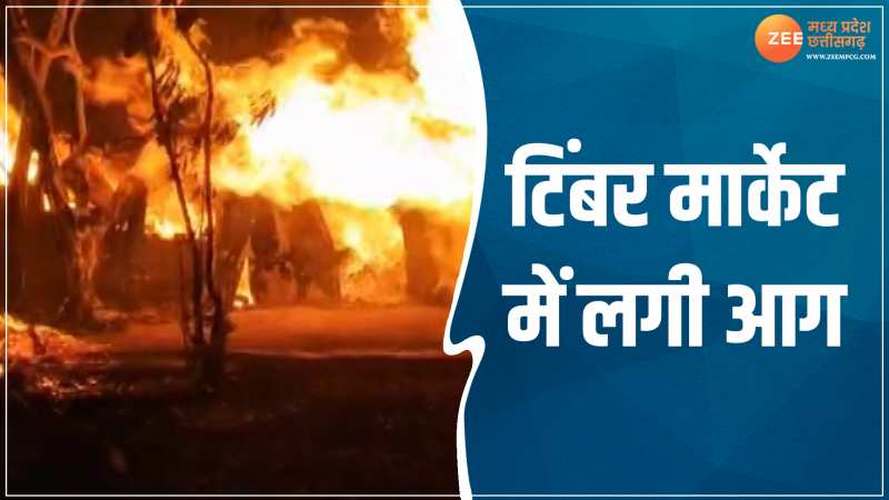 Fire Video: भोपाल के टिंबर मार्केट में लगी भीषण, मची अफरा- तफरी, देखें Video 