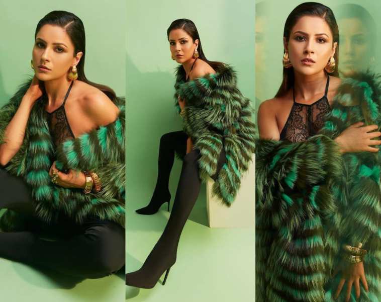 Shehnaaz Gill looks amazing in Furry outfit check her glamorous photos 