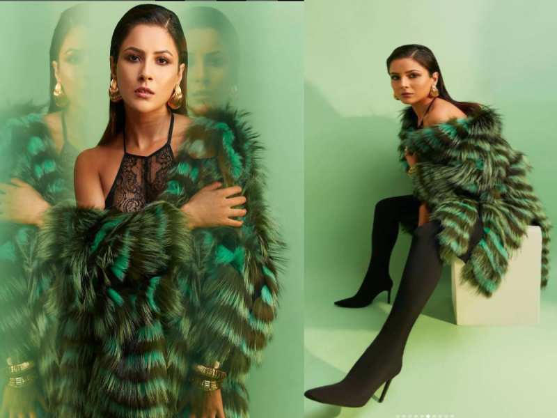 शहनाज गिल के धमाकेदार लुक ने बढ़ाया इंटरनेट का पारा; फैंस ने 'परी' कहकर लुटाया प्यार