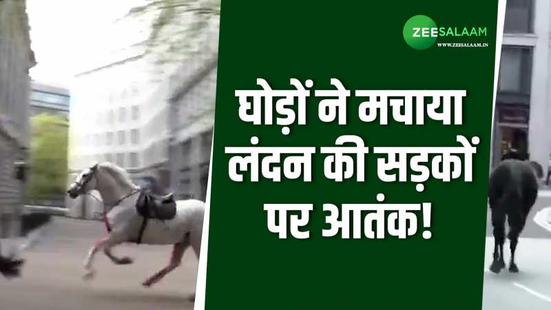 Video: घोड़ों ने मचाया लंदन की सड़कों पर आतंक, चार लोग हुए गंभीर रूप से घायल!